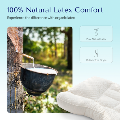 Gurum Premium Latex Pillow